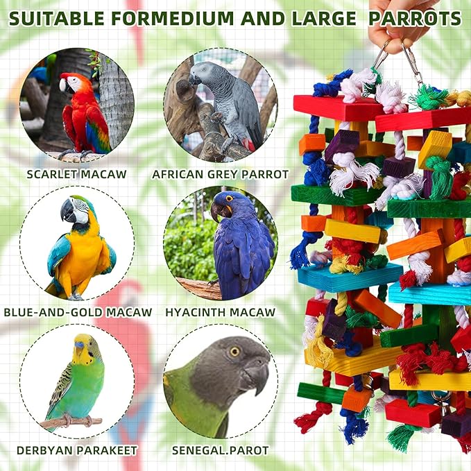 Soulchen 4 Pcs Extra Large Bird Parrot Toy Set Natural Wooden Chewing Toy, Rattan Ball, Wood Nut Loofah String (Bagged) for Large Macaws, African Grey, Amazon Parrots (Colorful Ring)