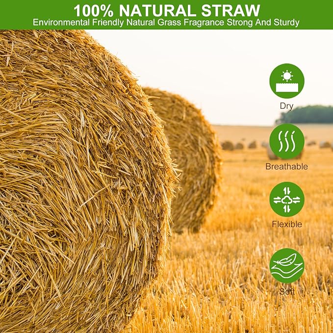 6 Packs Woven Straw Bird Nests, 9" Handmade Flat Base Spawning Nest,Racing Pigeon Breeding Hatching Nest Box Egg Basin for Quails Doves and Small Birds,Pet Cage Supplies