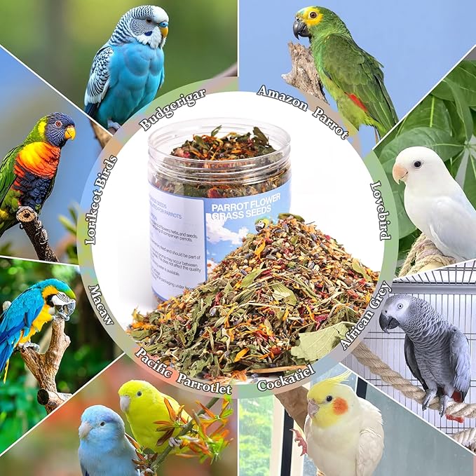 Abizoo Cockatiel & Conure Birds Foods Treats Seed Supplement for Love Birds Quaker Parrot Parakeets Digestive Health & Feather Support with Chia Flax Seeds Calendula Natural Comida para Pajaritos