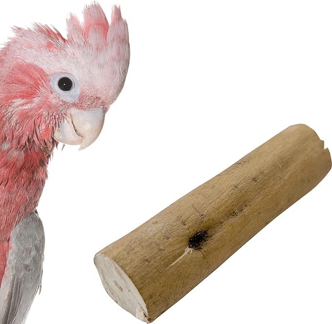 by M&M 5495 Natural Sola Skin Log PK1 - All Natural Sola Wood Bird Foot Toys, Chewable Wood Logs with Bark, Lightweight, Easy for Pet Birds to Shred, Foraging Fun
