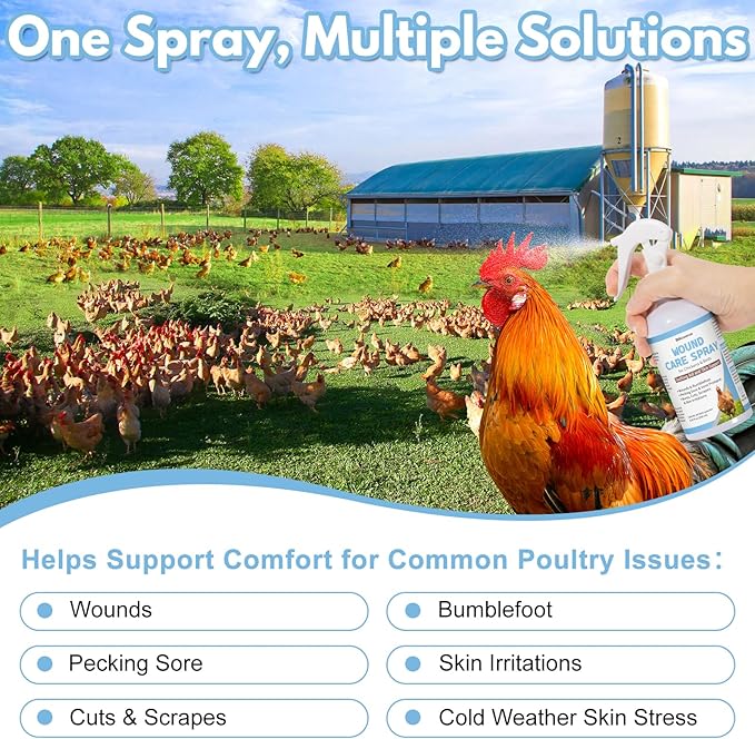 Chickens Wound Spray, Poultry Wounds Spray for Bumblefoot, Vent Prolapse, Pecking Sore, Burns & Skin Irritations, Chicken Care, Natural Herbal Formula, 8.45 Fl Oz (250ML)