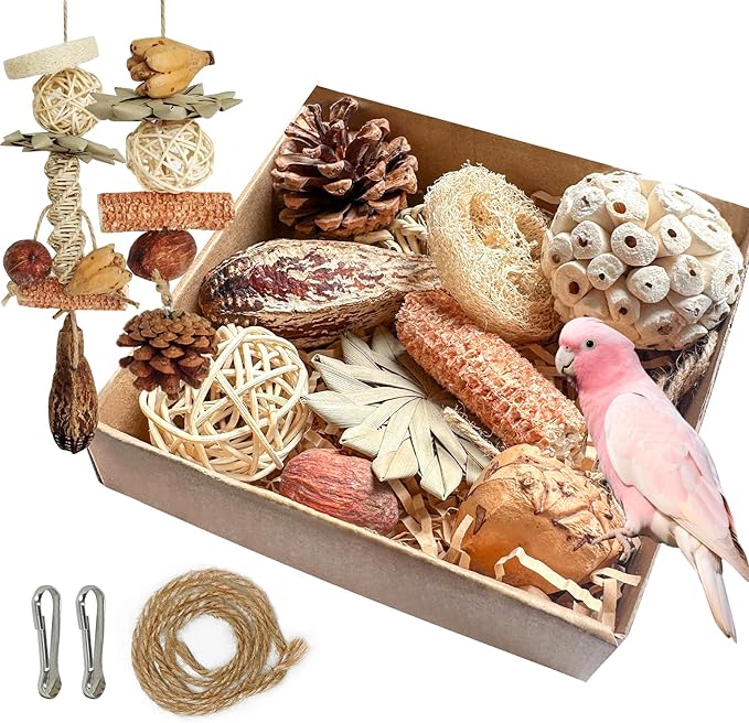 2 in 1 Parrot Toys, Parakeet Foraging Box DIY Hanging String with Comes with 2 Hooks Bird Toy for Parakeets,Cockatiels,Conures,Love Birds Cage Accessories for Small to Medium Birds