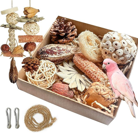 2 in 1 Parrot Toys, Parakeet Foraging Box DIY Hanging String with Comes with 2 Hooks Bird Toy for Parakeets,Cockatiels,Conures,Love Birds Cage Accessories for Small to Medium Birds