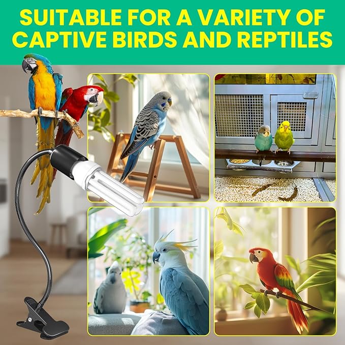 GlowUp Bird Light for Cage with Timer, Clip Lamp with UVB 2.4 Fluorescent Light Bulb E26, Bird Cage UVB Light Combo Kit 360°Rotatable for Captive Birds, Reptiles