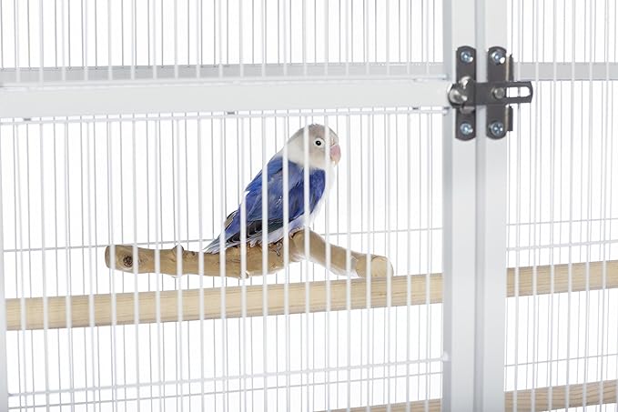 Prevue Pet Products Wrought Iron Flight Cage with Rolling Stand - Ideal for Parakeets, Cockatiels, Finches, Lovebirds, & Canaries, Large Flight Cage for Multiple Birds, Durable & Easy to Clean - White