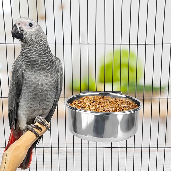 Hypeety Stainless Steel Bird Food Water Bowl Parrot Cage Accessories for Parakeet Bird Dog Cat Parrot Rabbit (Large,5.5 * 2.3in)
