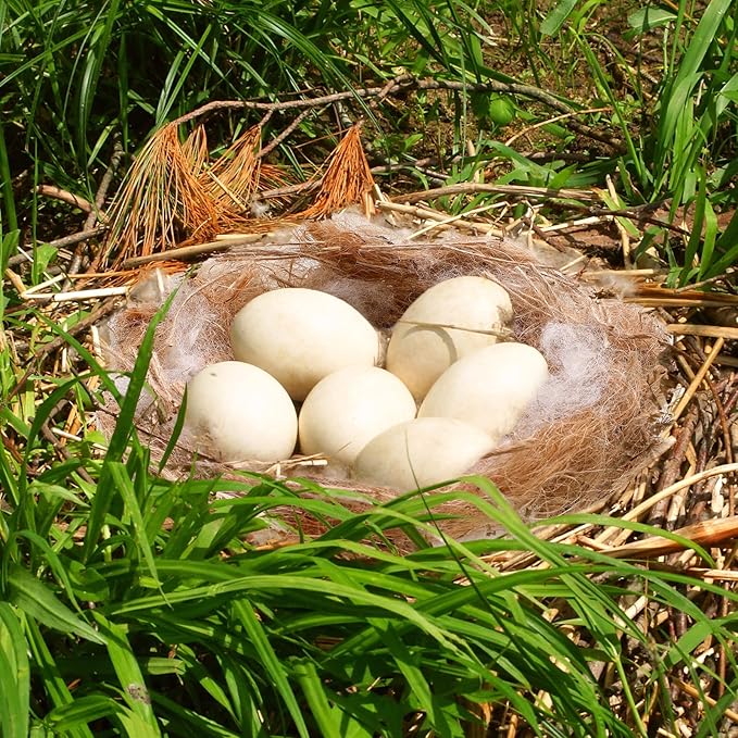 Amyhill 120g/4.23 oz Bird Nesting Materials Mixing Parakeet Nest Material Finch Bird Bedding Hideouts for Canary Coconut for Tree Trunks Cages Garden Yard Home Party Easter Decor