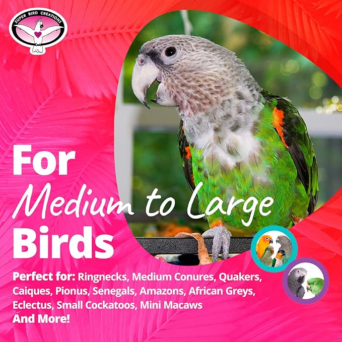 Super Bird Creations - SB301 Chewable Paper Party Bird Toy with Colorful Lollipop Sticks - Ringnecks Medium Conures Parrot - Chew Enthusiasts - Enriching Bird Toys for Medium to Large Birds - 4-Pack
