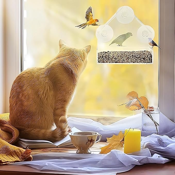 2 Pack Window Bird Feeder for Outdoors Clear Feeders Window Mounted with Strong Suction Cups Fummingbird Feeder Acrylic Birdfeeders for Viewing Wild Birds Outside, Interactive Cat Toys