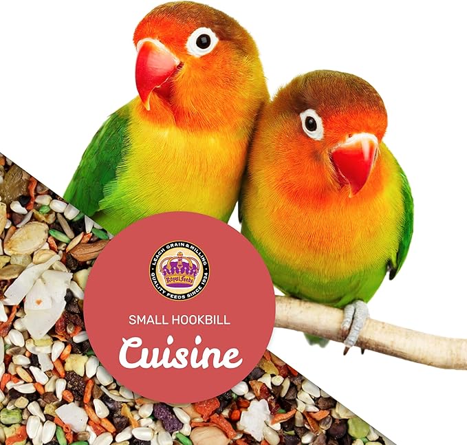 Small Hookbill Cuisine, 20 Lbs Premium Birdseeds for Parrot, Bird Food for Small Hookbill, Supports Daily Energy, Growth & Digestive Health, Nutrient-Rich Parrot Bird Seed for Outside Feeders