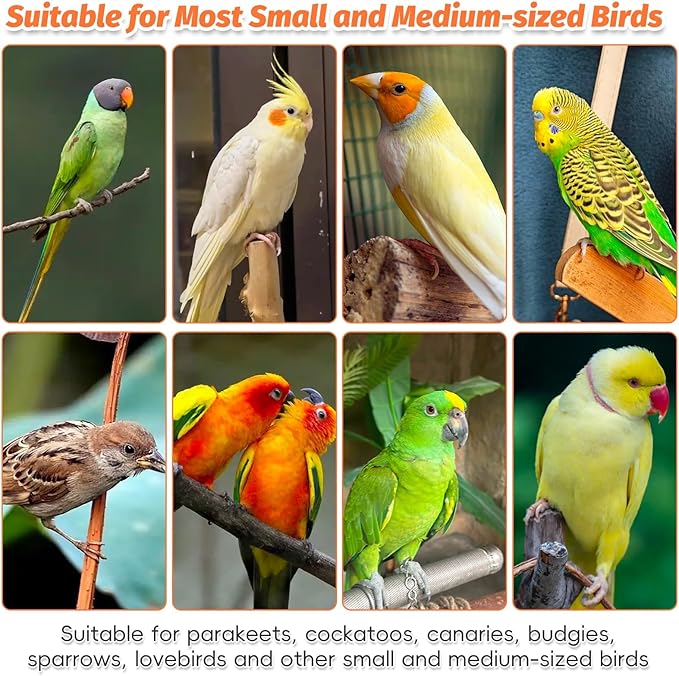 Kathson Wood Bird Playground Parrot Play Stand Bird Stand with Feeder Cups Birds Perch Stand with Ladder Hanging Swing Chewing Toys Conure Cage Accessories for Parakeet Conure Lovebird Cockatiel