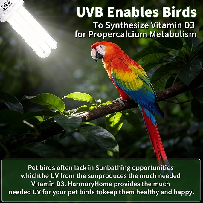 Bird Cage UVB Light Combo Kit, Avian Sun Lamp 2.4% UVB UVA 20W Compact Fluorescent Bulb for All Kinds Captive Birds, 2 Bulbs Included