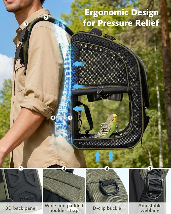 Pecute Bird Backpack Carrier for Small Birds,Cockatiel,Parrot,Bird Carrier with Standing Perch,Comfy Mat&Transparent Window, Breathable Bird Backpack for Vet Visit,Shopping and Outdoor Adventure,Green