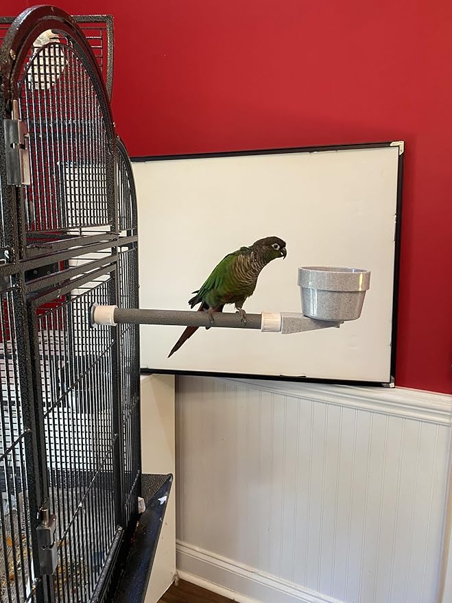 Polly's Mess Less Cups for Your Bird cage-Recommended for All Types of Birds Including Parakeets, Cockatiels, Parrots, Macaws, Cockatoos and More! (Small Long (15" x 3/4"))