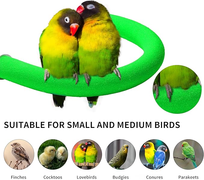FrgKbTm U Shape Parrot Perch Stand Toy Bird Platform Sand Paw Grinding Clean Stick Exercise Conure Budgie Cockatiel Cage Accessories (Green)