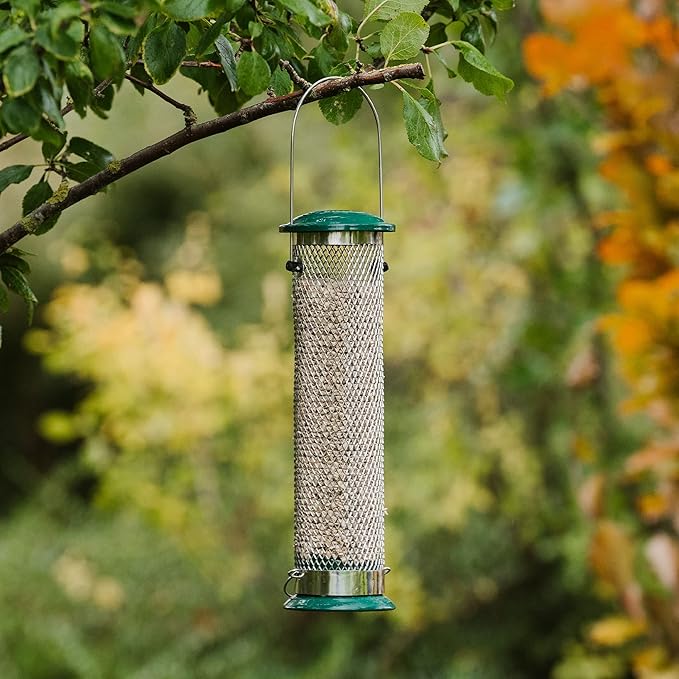 Peckish 60053033 All Weather Sunflower Heart Metal Bird Feeder, Large, Blue,Black