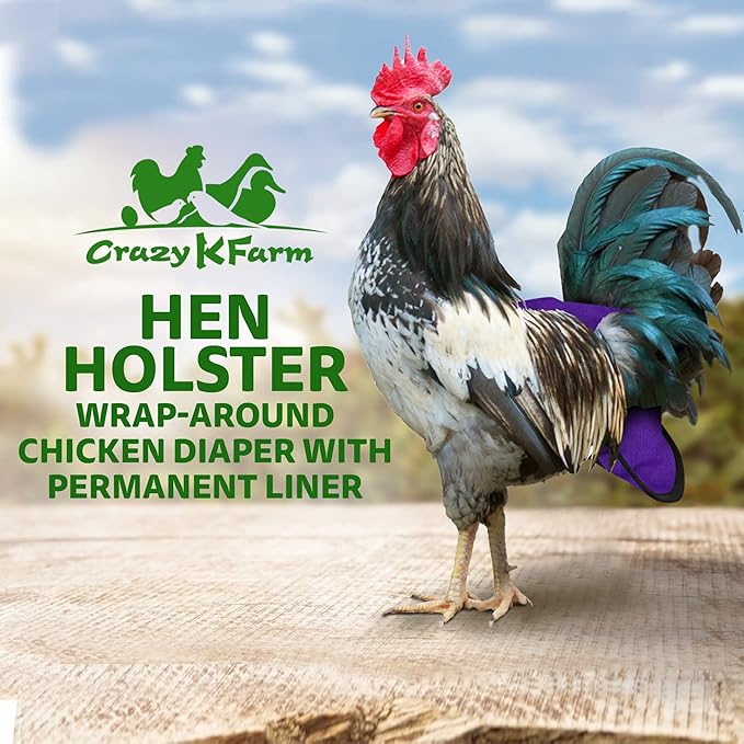 Hen Holster Premium Starter Kit - Bird Diaper, Wrap Around for Hens, Roosters, Ducks - Leak-Proof, Comfortable Bird Harness with Sewn-in Liner, Secure Hook & Loop Closure - XL, Purple