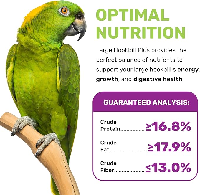 Large Hookbill Plus 5 Lbs, Parrot Food for Large Hookbills, Bird Seed for Healthy Balanced Diet, Parrot Bird Food for Amazon, Macaw, Cockatoo, African Grey for Growth, Energy & Digestive Health
