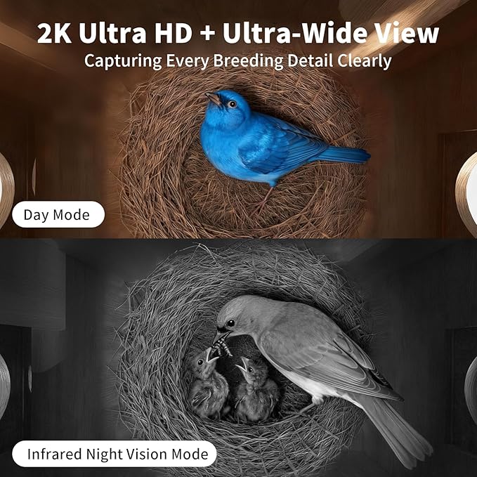 Bird Houses for Outside with Camera Solar Powered: 2K HD Video Smart Bird Feeder for Outdoors Nesting Box with Motion Detection Weatherproof Easy Birdwatching for for BirdLovers