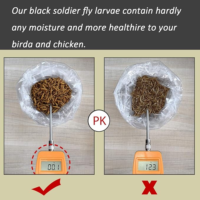 Black Soldier Fly Larvaeis,5LB 100% Natural Large Size No Moisture,Mealworms for Birds Chickens Hedgehog Hamster Fish Reptile Turtles