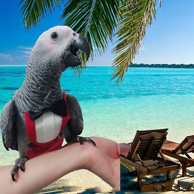 QBLEEV 2 Pack Bird Diapers, Cockatiel Tuxedo Flight Suite, Reusable Parrot Nappy Clothes Costume for Wedding Party Birthday Cosplay Photo, Pigeon Pants Urine Wet Suit for Conure Macaw Budgies Parakeet