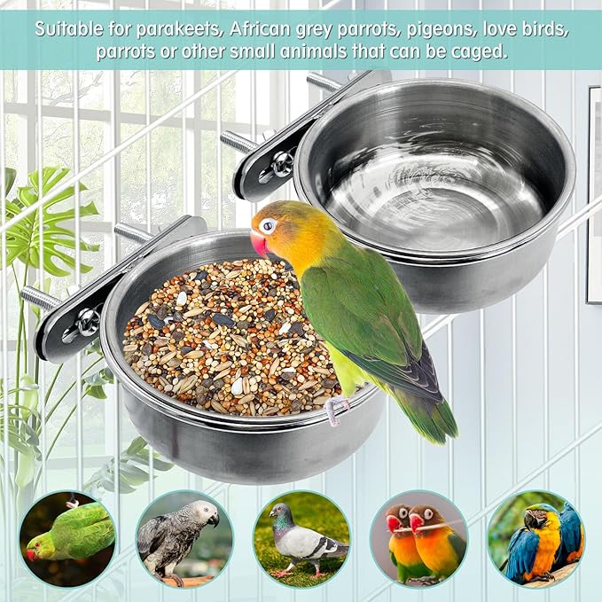 PINVNBY Stainless Steel Bird Bowl Parrot Food Water Bowls with Clamp Holder Bird Feeder Dish Cups Crate Bowls for Cockatiel Pigeons Conure Budgies African Greys (2PCS Screw Size: S)