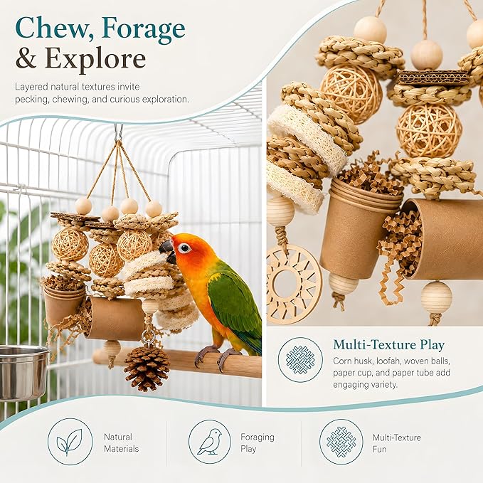 Bird Foraging Toy Parakeet Enrichment Puzzle Parrot Foraging Toys Loofah and Pine Cone Chew Play for Budgies Cockatiels Conures Quaker Parrot Small to Medium Birds