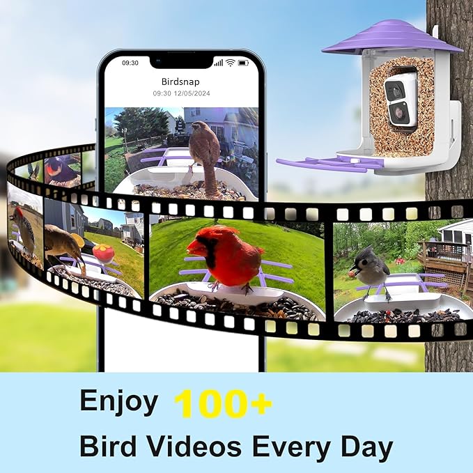 birdsnap® TUC Bird Feeder with Camera 2K HD Live with 32GB Card Auto Detect & Notify AI Identify Camera Birds Feeders Solar Powered Wireless Outdoors Backyard Gift for Mom Dad Birds Lover, 2.4G WiFi
