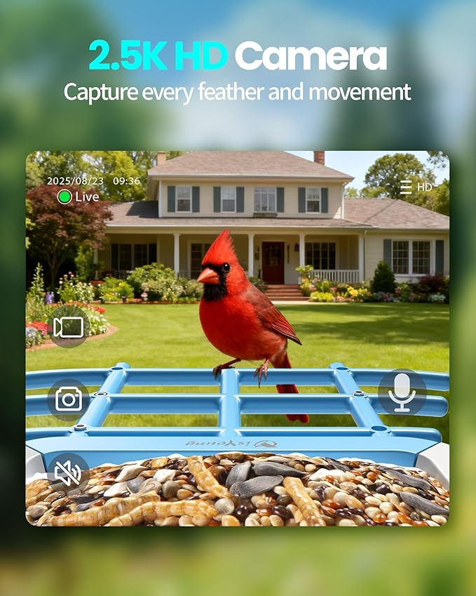 isYoung Smart Bird Feeder with Camera, 2.5K QHD Resolution, AI Identify 16000+ Birds, AI Auto-Capture & Motion Detection, IP65 Water-Resistant, 5W Solar Powered, Best Gift for Bird Lovers（Blue）