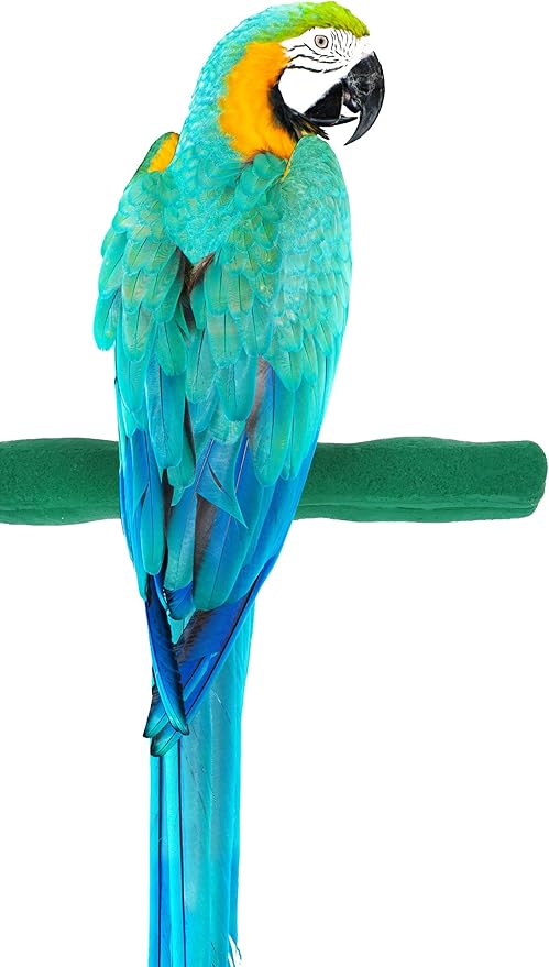 Sweet Feet and Beak Comfort Grip Safety Perch for Bird Cages - Pedicure Perch for Birds to Keep Nails and Beaks in Top Condition - Safe Easy to Install Bird Cage Accessories L 13" - Green