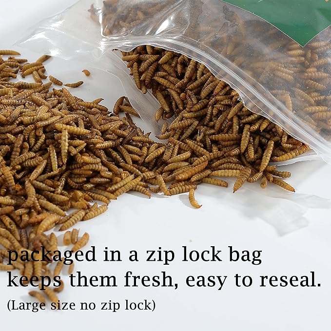 Non-GMO High-Protein Large Dried Black Soldier Fly Larva for Chickens, Natural Grubs and Poultry Treats as Chicken Feed,Duck Food, Wild Birds Seed,Reptile Food(Black Soldier fly-6LB)
