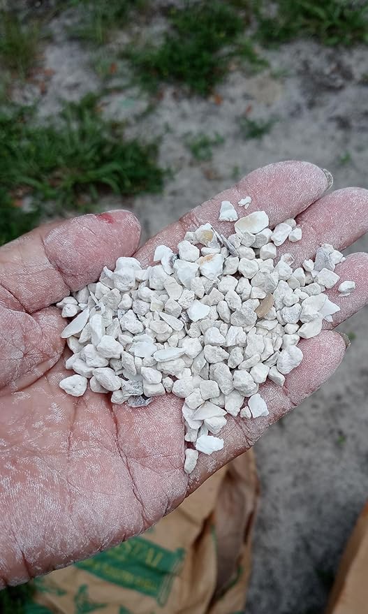 Evergreen Farm and Garden 50 lb Bag Oyster Shell - Calcium Rich Bird Grit (50 Pound (Pack of 1))