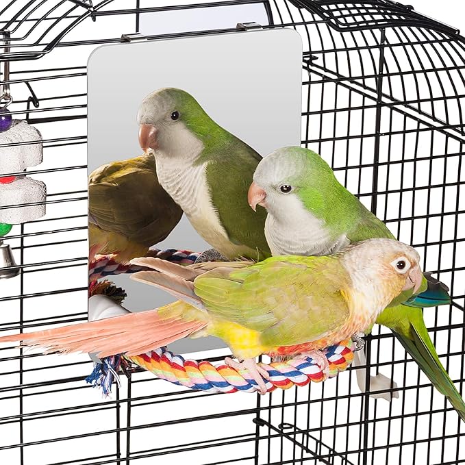 Colorday 7" Bird Mirror for cage with Rope Perch, Bird Swing, Parrot Cage Toy for Parakeet Budgie African Grey Conure Cockatiel Lovebird Finch Canarie, Medium