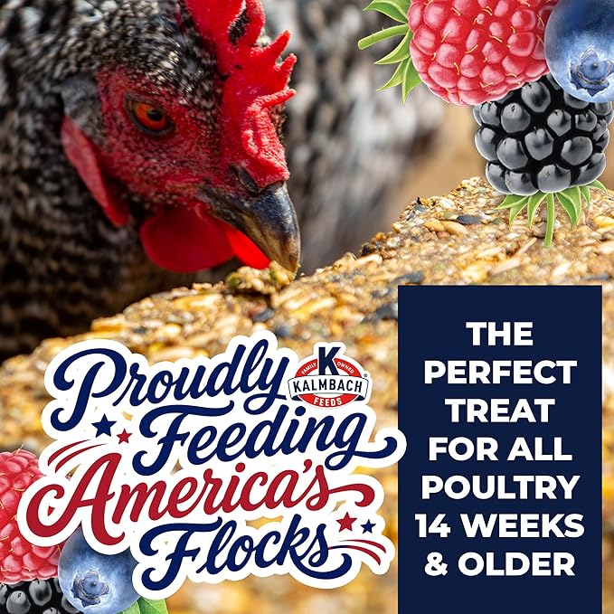 KALMBACH Feeds Henhouse Reserve Summer Berry Treat Block for Chickens, 20-LB Block