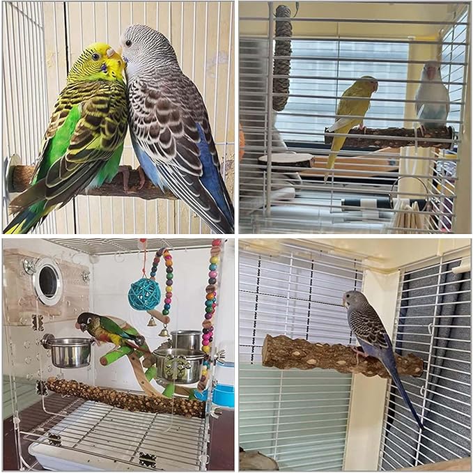 4 PCS Natural Parrot Perch Wooden Parrot Perch Stand Bird Stand Parakeet Climbing Standing Branches Toy for Small Lovebirds Budgies Cockatiels