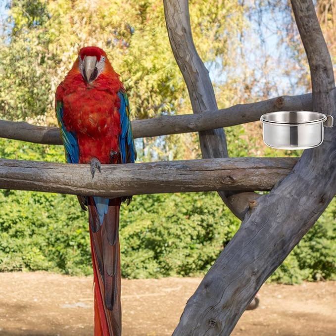 Stainless Steel Parrot Feed Cup Bird Food Bowl with Brackets 4-Pack for Cage Feeding Parakeet Cockatiel Conure Budgie 4.92X3.93X3.54In