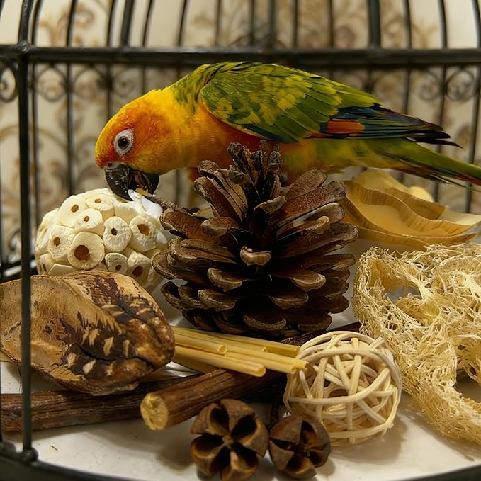 Bird Toys - Sola Ball Foraging Box, 10 Natural Ingredients | Chewing and Shredding Parrot Toys | Ideal for Parakeets/Cockatiels/Conures/Lovebirds and Small to Medium Birds