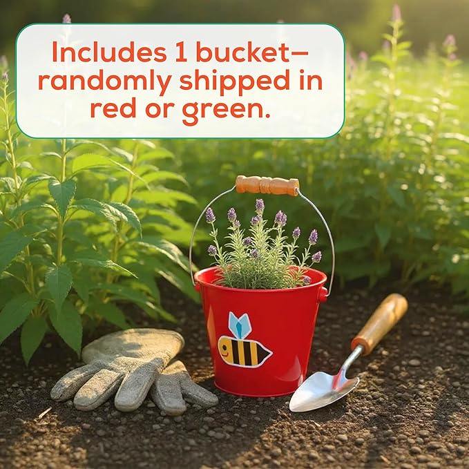 Toysmith Kids Gardening & Beach Bucket – 5″ Metal Pail with Grippable Handle | Assorted Bee & Beetle Colors | Durable Steel for Outdoor Play - 1 Count