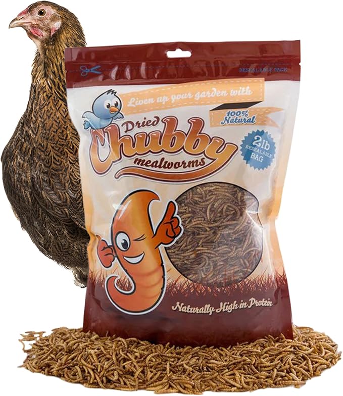 Chubby Dried Mealworms | 2 lbs | High-Protein Non-GMO Treats for Chickens, Ducks, Wild Birds & Backyard Pets