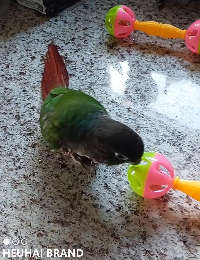 18-Pack Bird Toys Set for Parrots & Small Birds – Colorful Plastic & Rattan Balls with Bells (1.5'' - 5.5'')