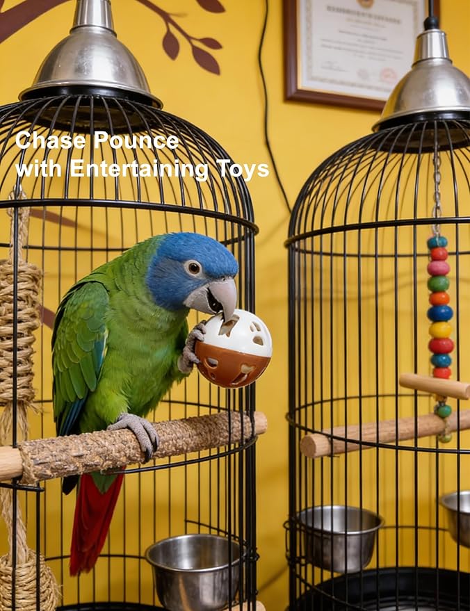 12 Pack Bird Toys, Colorful Chew Bells Balls, Safe Foot Toys for Small Medium Birds, Parakeets Cockatiels