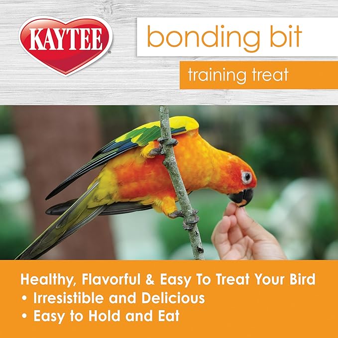 Kaytee Pet Bird Bonding Bits Training Treat for Conures, Cockatiels, Lovebirds, Parakeets, Amazons, African Greys, Ecletus, Pionus, Cockatoos and Macaws, 3 oz