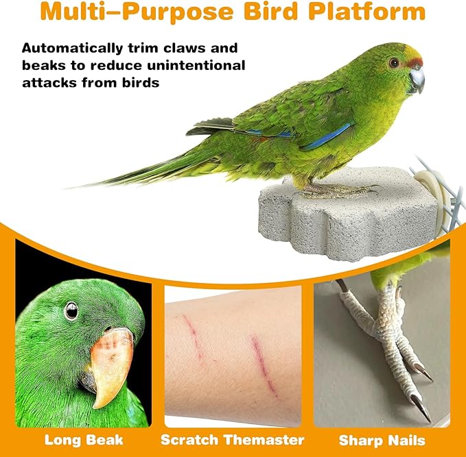 PINVNBY 4 PCS Bird Perches Calcium Parrot Perch Stand Bird Beak Grinding Stone Foot Claws Trimmer Parrot Chewing Toys Bird Cage Accessories for Budgie Cockatiel Conure Lovebird Finch