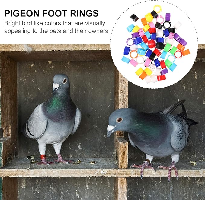 EXCEART Birdies Pigeon Foot Ring 100Pcs Plastic Bird Leg Band Rings Multi-Color Leg Rings Bird Clips Ankle Band Racing Pigeon Bands for Pigeon Dove Chicks Bantam