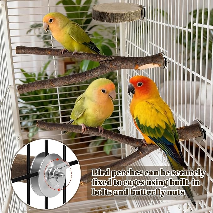 8 Pack 9 Inch Natural Wood Bird Perches, Parrot Perch Stand Bird Cage Accessories for Budgerigar Cockatiels, Conures, Lovebirds (L)