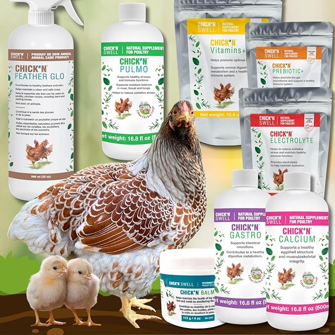 Chick'n Vitamins, Vitamins for Poultry and Backyard Chickens- Supplement from Chick'N Swell Brand for All Fowls, Birds and Ducks of All Ages. with B12-10.5 oz