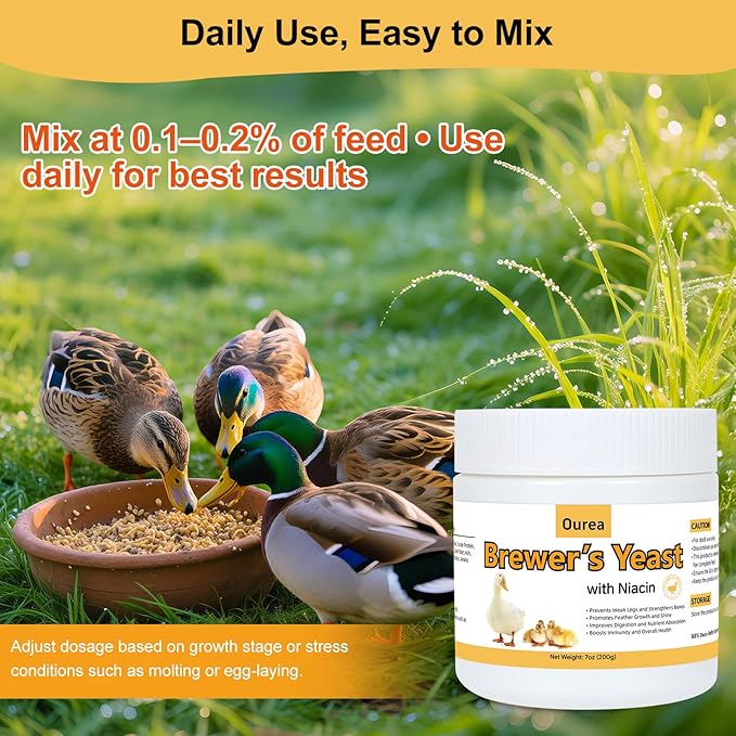 Brewer’s Yeast for Ducks with Niacin, Duck Vitamin B Complex Supplement to Supports Immunity Molt Recovery Severe Stress, Growth & Digestion, Niacin-Rich Powder for Healthy Legs Bones 7oz