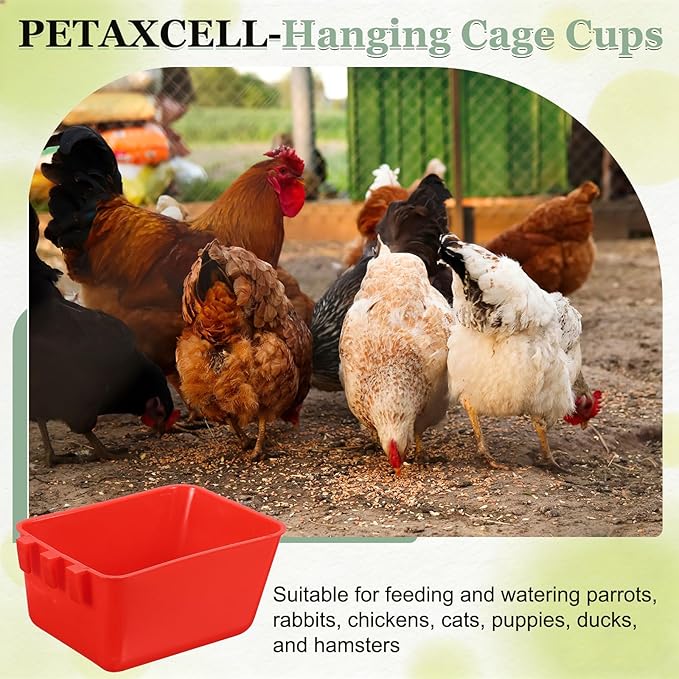 Cage Cups, 4.9x3.7x2.4 Inch Parakeet Feeder Bird Cage Accessories Hanging Food Water Dispenser, (Red, 20 Pcs), Intended for Pet/Pigeon/Parrot/Chicken
