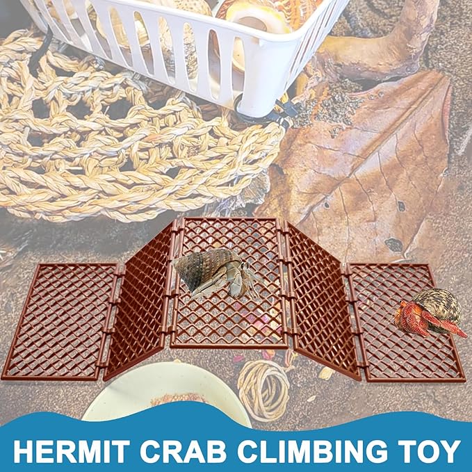 Hermit Crab Climbing Toys | 5 Pcs DIY Mesh Hermit Crab Ladder | Hermit Crab Tank Enrichment Decor | Hermit Crabs Decoration Accessories Supplies Toys Ornaments