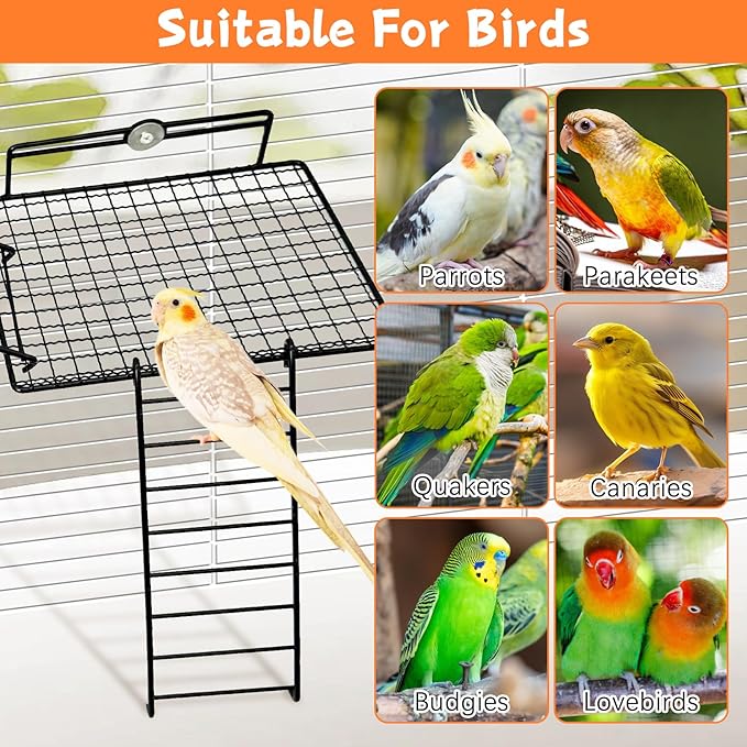 BNOSDM Large Stainless Steel Grid Platform for Parakeet 4 PCS Bird Perches Platform Parrot Stand with Climbing Ladder Bird Cage Accessories for Small to Large Bird (Screw Style-L)